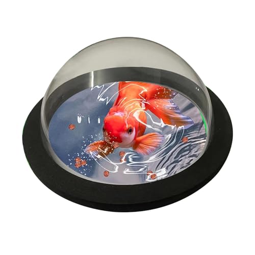 Schwimmender Pflanzenring - Aquarium Pflanzen Tür Betta Fisch, Unterstützung für Wasserpflanzen | Art der Dekoration des Fischtanks Schwimmring für Legierungen für Hydrokulturpflanzen, von Liqzirtu
