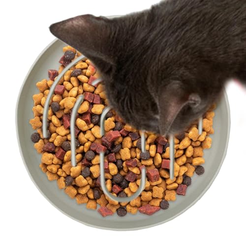 Slow Feeder Schüssel für Katzen, Futterstation für Hunde und Katzen, langsam fließend, für Welpen und Rassen, kleine gesunde Schüssel für Wohnzimmer und Schlafzimmer Slow Feeder Schüssel für Katzen, Futterstation für Hunde und Katzen, langsam fließend, für Welpen und Rassen, kleine gesunde Schüssel für Wohnzimmer und Schlafzimmer von Liqzirtu