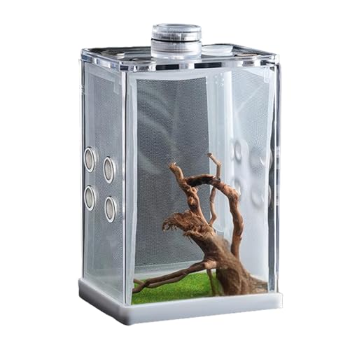 Springspinnengehege - Transparente Fütterungsbox Acryl, Vogelspinne Spinnenkäfig | Reptilien Terrarium Box, Käfig Gehege für Schnecke Insektenterrarium Raupe Lebensraum Heimgebrauch von Liqzirtu