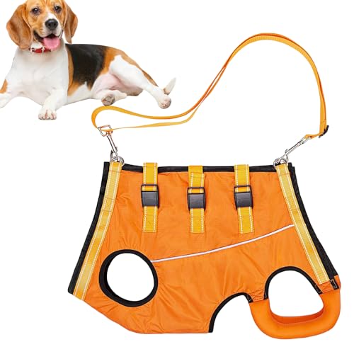 Verstellbares Geschirr - Hunde-Hebegeschirr – Komfortables Haustier-Hebegeschirr. Hebeweste für ältere, behinderte oder verletzte Hunde, ideal zum Spazierengehen. Verstellbares Geschirr - Hunde-Hebegeschirr – Komfortables Haustier-Hebegeschirr. Hebeweste für ältere, behinderte oder verletzte Hunde, ideal zum Spazierengehen. von Liqzirtu