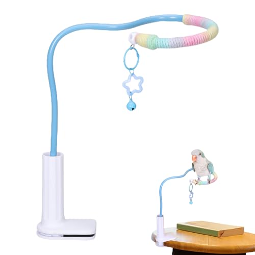 Vogel Sitzstange Stand | Vogel Trainings Sitzstange,rutschfeste Bunte Tisch Vogelspielzeug Für Nymphensittich Wellensittich Unzertrennliche Und Kleine Sittiche Mit Spielstangen Vogel Sitzstange Stand | Vogel Trainings Sitzstange,rutschfeste Bunte Tisch Vogelspielzeug Für Nymphensittich Wellensittich Unzertrennliche Und Kleine Sittiche Mit Spielstangen von Liqzirtu
