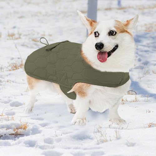 Winterjas voor honden - Warm vest voor huisdieren, thermische winddichte jas voor huisdieren | Duurzame jas voor koud weer, warme winddichte sneeuwkleding, reflecterende, verstelbare coltrui voor klei von Liqzirtu
