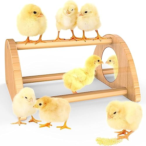 Lisher Mini Küken Sitzstange mit massiver Sitzstange für Hühnerstall und Brutkasten, Trainingsstange für Küken L Lisher Mini Küken Sitzstange mit massiver Sitzstange für Hühnerstall und Brutkasten, Trainingsstange für Küken L von Lisher