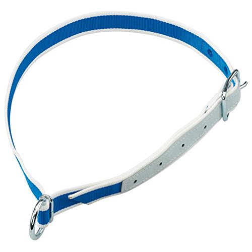 Nylon Halsband HB 104 D 1 m in blau und weiß für Jungtiere von Lister