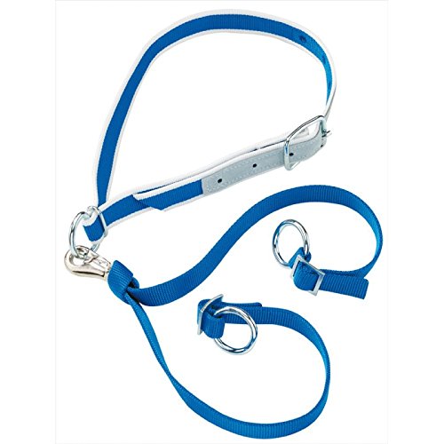 Nylonhalsband HB 101/6 130 cm in blau und weiß für Kühe von Lister