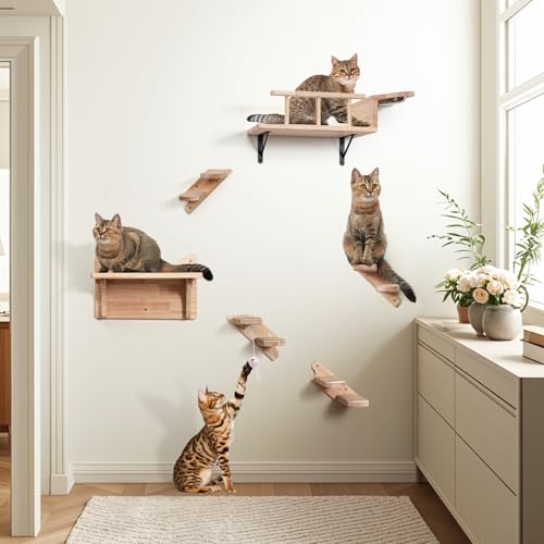 LitaiL Kletterwand Katzen aus Massivholz, Katzen Kletterwand Set mit Katzennapf Wand, Katzenliege und Katzentreppe für Wand, Extra Stabile Katzen Wandelemente, 6-teilig, Bis 25KG LitaiL Kletterwand Katzen aus Massivholz, Katzen Kletterwand Set mit Katzennapf Wand, Katzenliege und Katzentreppe für Wand, Extra Stabile Katzen Wandelemente, 6-teilig, Bis 25KG von LitaiL