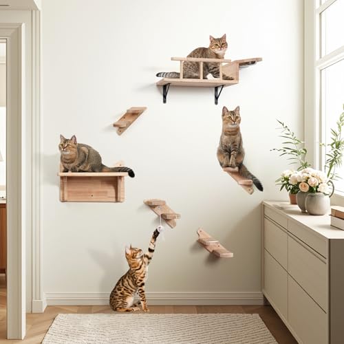 LitaiL Katzen Kletterwand Set aus Massivholz, Extra Stabile Katzenkletterwand mit Katzennapf Wand,Katzenliege und Katzenstufen für Wand, 6-teilig, Bis 25KG von LitaiL