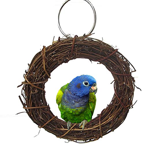Vogel-Kauspielzeug, Schaukel, Sitzstange, natürliches Rattan, für Papageien, Sittiche, Nymphensittiche, Sittiche, Finken, Lorikäter, Wellensittiche, Graupapageien, Kanarienvogel, Zubehör Vogel-Kauspielzeug, Schaukel, Sitzstange, natürliches Rattan, für Papageien, Sittiche, Nymphensittiche, Sittiche, Finken, Lorikäter, Wellensittiche, Graupapageien, Kanarienvogel, Zubehör von Litewoo
