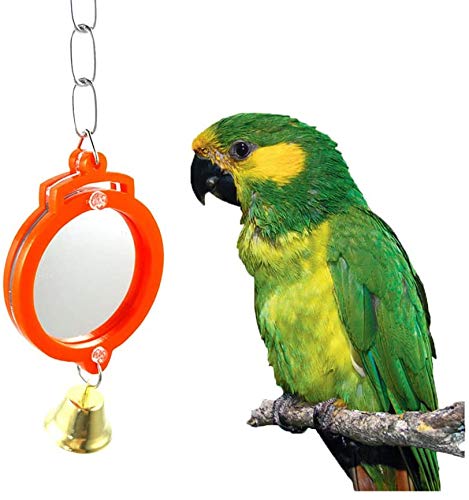 Vogel Spiegel Spielzeug mit Glocke Schaukel Hängende Ringer Leder Spiegel Spielzeug Papagei Käfig Zubehör Dekoration für kleine und mittelgroße Sittiche Nymphensittich Finken Lovebird Conure Vogel Spiegel Spielzeug mit Glocke Schaukel Hängende Ringer Leder Spiegel Spielzeug Papagei Käfig Zubehör Dekoration für kleine und mittelgroße Sittiche Nymphensittich Finken Lovebird Conure von Litewoo