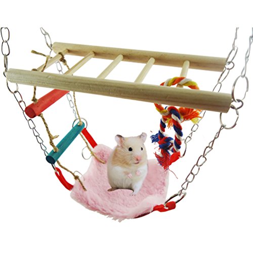 Litewood Hamster Hängematte/Hängematte mit Leiter/Spielzeug aus Holz zum Aufhängen, für Vögel, Papageien, Eichhörnchen, Hamster, Meerschweinchen, Mäuse, Käfig-Spielzeug (Farbe zufällig) von Litewood
