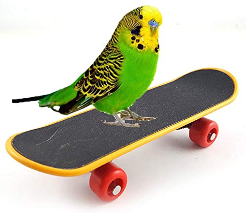 Vogel-Papageien-Intelligenz-Spielzeug, Mini-Trainings-Skateboard für Wellensittiche, Sittiche, Nymphensittiche, Liebesvogel, kleine und mittelgroße Vogel, lustiges süßes Sitzstangen-Spielzeug von Litewood