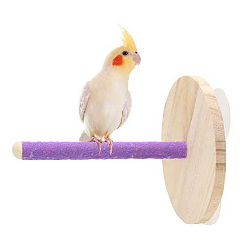 Vogeldusche Ständer für Papageien, Badewanne, Saugnapf, Fenster, Wand, Plattform, Rahmen, Spielzeug für kleine, mittelgroße Papageien, Sittiche, Aras, Wellensittiche, mit Holzstab (zufällige Farbe) Vogeldusche Ständer für Papageien, Badewanne, Saugnapf, Fenster, Wand, Plattform, Rahmen, Spielzeug für kleine, mittelgroße Papageien, Sittiche, Aras, Wellensittiche, mit Holzstab (zufällige Farbe) von Litewoo