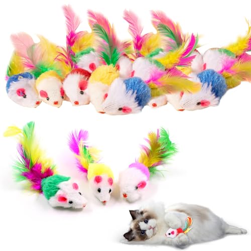 20er-Pack Katzenspielzeug,Katzenspielzeug Maus, Spielmaus für Katzen, Maus-Katzenspielzeug, Haustierspielzeug mit Federschwanz, Lustige Spiele für Katzen 20er-Pack Katzenspielzeug,Katzenspielzeug Maus, Spielmaus für Katzen, Maus-Katzenspielzeug, Haustierspielzeug mit Federschwanz, Lustige Spiele für Katzen von Lithyc