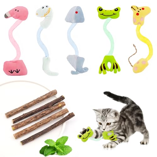 Lithyc 5 Set Katzenminze Spielzeug - Katzenminze Stick - Katzenspielzeuge -Geeignet Zum Reinigen Der ZäHne Von KäTzchen, Als Lustiges Katzenspielzeug Und Zur Reduzierung Der Langeweile Bei Katzen Lithyc 5 Set Katzenminze Spielzeug - Katzenminze Stick - Katzenspielzeuge -Geeignet Zum Reinigen Der ZäHne Von KäTzchen, Als Lustiges Katzenspielzeug Und Zur Reduzierung Der Langeweile Bei Katzen von Lithyc
