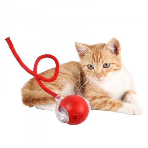 Litinliv Katzenspielzeug,Elektrisches Katzenball Spielzeug mit LED, Intelligente Hindernisvermeidung,Interaktivespielzeug für Katzen, Selbstbeschäftigung Katzenball mit 2 Ersatzschwanz Aufladbar Rot von Litinliv