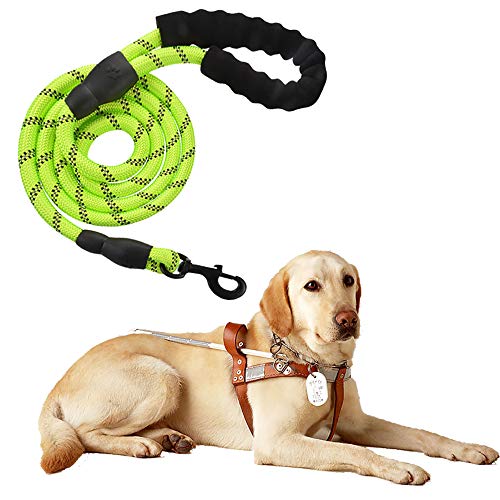 Führleine für Hunde Nylon Verstellbar Solid Black Hochwertige reflektierende 150cm für große oder mittlere Hunde Geeignet zum Laufen Joggen Wandern (Grün) von Litthing