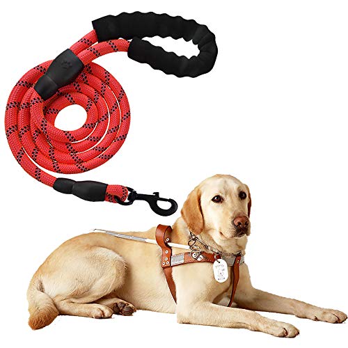 Führleine für Hunde Nylon Verstellbar Solid Black Hochwertige reflektierende 150cm für große oder mittlere Hunde Geeignet zum Laufen Joggen Wandern (Rot) von Litthing