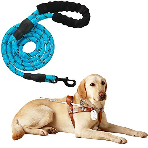 Führleine für Hunde Nylon Verstellbar Solid Black Hochwertige reflektierende 150cm für große oder mittlere Hunde Geeignet zum Laufen Joggen Wandern (Blau) von Litthing