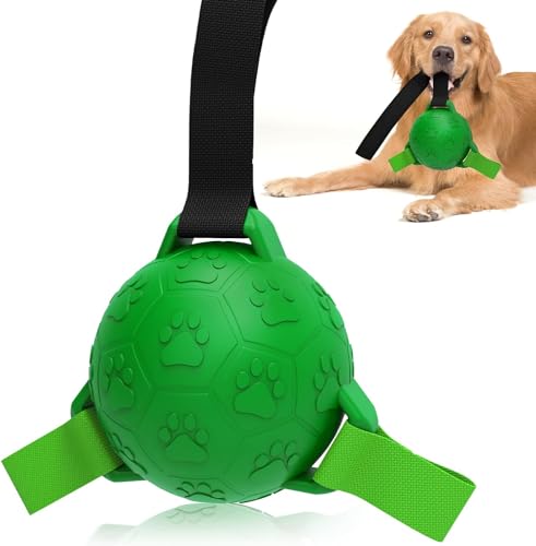 Little Bean Interaktives Hundespielzeug, Bälle für kleine und mittelgroße Hunde, mit Haltelaschen, für drinnen und draußen, robustes Gummi, Grün von Little Bean