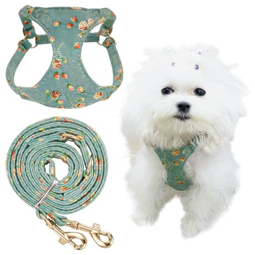 Little Boss Hundegeschirr, Goldprägung, Blumenmuster, weiches Wildleder, kein Ziehen, Hundegeschirr und Leine, Set mit Schnappschnalle, verstellbares Hundegeschirr für kleine, mittelgroße Hunde und Little Boss Hundegeschirr, Goldprägung, Blumenmuster, weiches Wildleder, kein Ziehen, Hundegeschirr und Leine, Set mit Schnappschnalle, verstellbares Hundegeschirr für kleine, mittelgroße Hunde und von Little Boss
