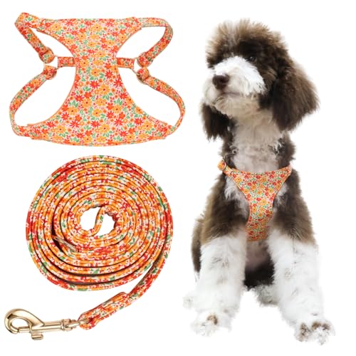 Little Boss Hundegeschirr und Leine, verstellbar, weich, bequem, kein Würgen, Hundegeschirr mit Leine, kein Ziehen, florales Muster, Welpengeschirr für kleine, mittelgroße Hunde und Katzen Little Boss Hundegeschirr und Leine, verstellbar, weich, bequem, kein Würgen, Hundegeschirr mit Leine, kein Ziehen, florales Muster, Welpengeschirr für kleine, mittelgroße Hunde und Katzen von Little Boss