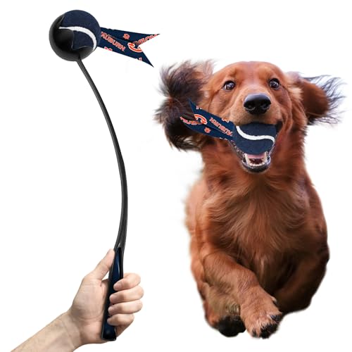 Littlearth NCAA Ballwerfer für Haustiere, Auburn Tigers von Little Earth Productions