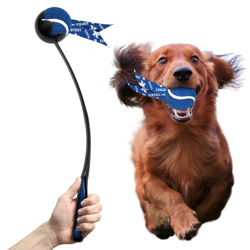 Littlearth NCAA Pet Ball Launcher Kentucky Wildcats von Little Earth Productions