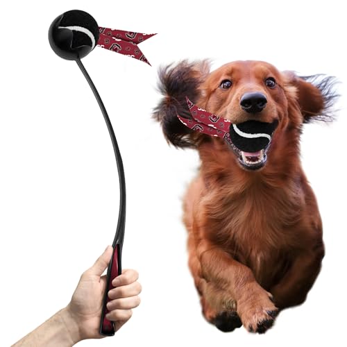 Littlearth NCAA Pet Ball Launcher South Carolina Fighting Gamecocks von Little Earth Productions
