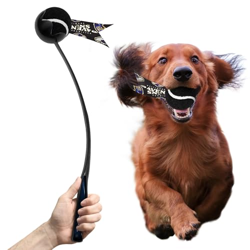 Littlearth NFL Pet Ball Launcher Baltimore Ravens von Little Earth Productions