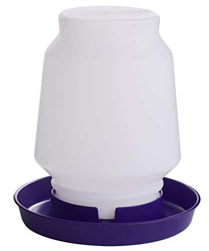 Miller Manufacturing Plastic Poultry Fountain Complete Waterer Purple 1 Gallon von Little Giant