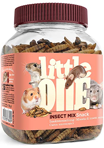 Little One Little One Snack "Insektenmischung" in Dose, 75 g von Little One