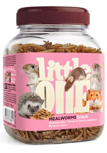Little One Mehlwürmer | 70 g | Ergänzungsfuttermittel für Hamster, Ratten, Mäuse und Igel | Zur Unterstützung des Wohlbefindens | Hoher Proteingehalt für natürliche Instinkte von Little One