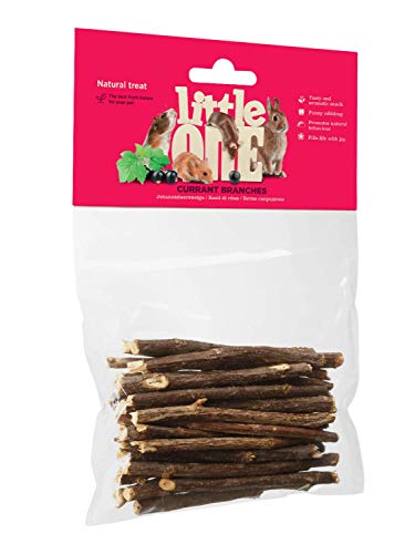 Little One Johannisbeerzweige | 50 g | Einzelfuttermittel für Nager und Zwergkaninchen | Zur Unterstützung der Zahnpflege & der Abnutzung | Reich an Vitaminen und Mineralstoffen von Little One