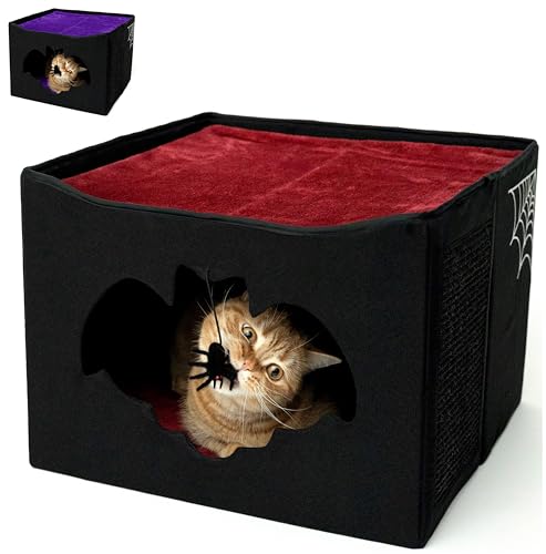 Gothic Gothic Katzenbett für Indoor-Katzen oder Haustiere, Faltbares Katzen-Halloween-Haus: enthält Fledermaus-förmigen Eingang, Spinnenspielzeug, Kratzunterlage und weiches Kissen für Gothic-Katze, von Littlesy