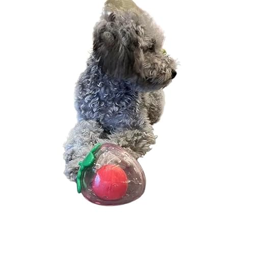 LiuXaofei Interaktives Hundespielzeug, Haustier-Welpen-Sound, Süßes Erdbeer-Kauspielzeug for Hunde, Bissfest, Langlebig, Quietschend, Kauspielzeug for Hunde for Zahnen LiuXaofei Interaktives Hundespielzeug, Haustier-Welpen-Sound, Süßes Erdbeer-Kauspielzeug for Hunde, Bissfest, Langlebig, Quietschend, Kauspielzeug for Hunde for Zahnen von LiuXaofei
