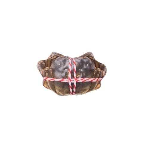 LiuXaofei Lustiges Quietschspielzeug for kleine und mittelgroße Hunde, bissfestes Welpenspielzeug, simuliertes Hundespielzeug aus der Fleisch-/Meeresfrüchte-/Creme-Serie, Haustierprodukt(Crab) von LiuXaofei