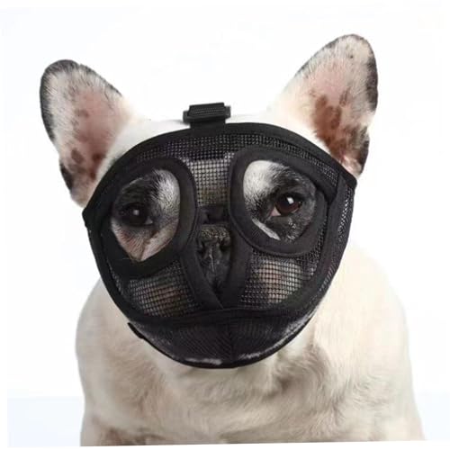 Liummrcy Hundehalsbänder, französische Bulldogge Mündung atmungsaktives Netz kurzer Schnauze Hund Mündung Verstellbares Hunde Mündung Hundemaske, um zu verhindern Liummrcy Hundehalsbänder, französische Bulldogge Mündung atmungsaktives Netz kurzer Schnauze Hund Mündung Verstellbares Hunde Mündung Hundemaske, um zu verhindern von Liummrcy