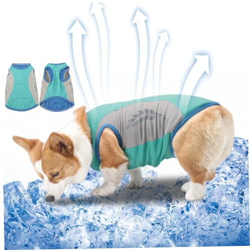 Hundekleidung Accessoires, Hundekühlungsweste reflektierende Haustierkühlung Jacke Sommer Hundekühler Kleidung zum Wandern m Hundekleidung Accessoires, Hundekühlungsweste reflektierende Haustierkühlung Jacke Sommer Hundekühler Kleidung zum Wandern m von Liummrcy