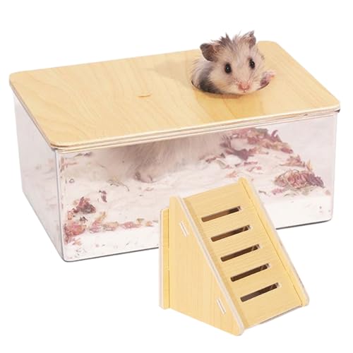 Kleinhäuser Bettzeug, 2pcs Hamster Sandbadbehälter mit Leiter, Hamster Sandkasten klare Hamster Sandbad Kit Duschbad und Hamster Leiter für Lemming -Rennmäuse Kleinhäuser Bettzeug, 2pcs Hamster Sandbadbehälter mit Leiter, Hamster Sandkasten klare Hamster Sandbad Kit Duschbad und Hamster Leiter für Lemming -Rennmäuse von Liummrcy