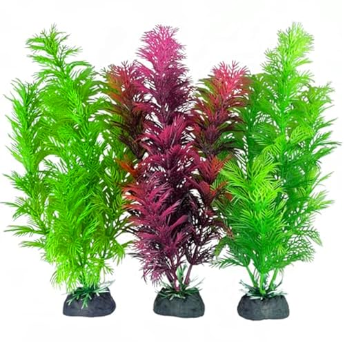Liummrcy Aquarienzubehör, künstliche Aquarienpflanzen, 3 Stück, 30 cm, Kunststoff-Aquarienpflanzen mit Sockel, lebensechte Grünpflanzen zur Aquariendekoration Liummrcy Aquarienzubehör, künstliche Aquarienpflanzen, 3 Stück, 30 cm, Kunststoff-Aquarienpflanzen mit Sockel, lebensechte Grünpflanzen zur Aquariendekoration von Liummrcy