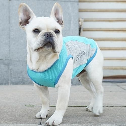 Liummrcy Hundekleidung, Hundekühlung Weste Reflektierende Haustierkühlung Jacke Sommer Hundekühler Kleidung zum Wandern Liummrcy Hundekleidung, Hundekühlung Weste Reflektierende Haustierkühlung Jacke Sommer Hundekühler Kleidung zum Wandern von Liummrcy