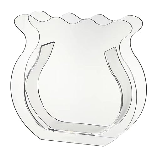 Liuyoyo Aquarium-Vase, Verdicktes Acryl, Modernes Kleines Aquarium für Familienbüro, Schlafsaal, Aquarium-Vase, Kleines Aquarium, Mini-Aquarium, Pflanzen-Aquarium, Pflanzen-Aquarium(Transparent) von Liuyoyo