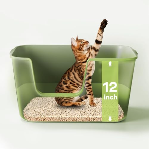 LivLab Katzentoilette – 62,5 x 42,4 x 32,3 cm, extra große Katzentoilette für große Katzen, hohe Seiten und niedriger Eingang, langlebiges BPA-freies PP-Material, leicht zu reinigen und zu pflegen LivLab Katzentoilette – 62,5 x 42,4 x 32,3 cm, extra große Katzentoilette für große Katzen, hohe Seiten und niedriger Eingang, langlebiges BPA-freies PP-Material, leicht zu reinigen und zu pflegen von LivLab