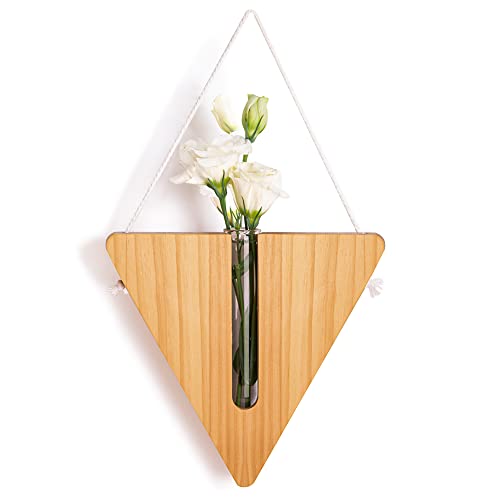Livebe Terrarium-Pflanzgefäß zum Aufhängen – Glas-Anzuchtvase mit dreieckigem Holzständer, Zimmerwasserpflanzen-Dekoration, Geschenke für Pflanzenliebhaber oder Gärtner, Frauen (Natur) von LiveBe
