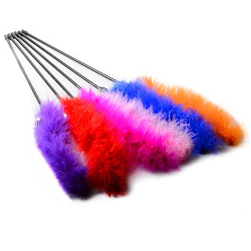 Livecity Katzenspielzeug mit Glöckchen, interaktives Spielzeug, zufällige Farbe Livecity Katzenspielzeug mit Glöckchen, interaktives Spielzeug, zufällige Farbe von Livecity