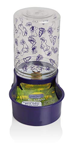 Lixit Animal Care Mini Rabbit Feeder Water Food Fountain Reversible Base 48oz Lixit Animal Care Mini Rabbit Feeder Water Food Fountain Reversible Base 48oz von Lixit