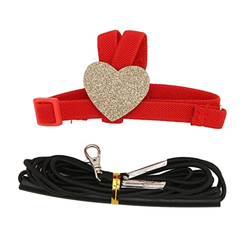 Papagei Fliegender Kabelbaum Leine Cartoon Style Elastic Gummi Griff für Vogelbesitzer (M) von LjwZekyrnt