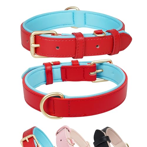 Lmlpt Rotes Leder-Hundehalsband für große, mittelgroße und kleine Hunde, echtes Leder, weich gepolstert, verstellbar, dick, mit robustem D-Ring, Größe M Lmlpt Rotes Leder-Hundehalsband für große, mittelgroße und kleine Hunde, echtes Leder, weich gepolstert, verstellbar, dick, mit robustem D-Ring, Größe M von Lmlpt