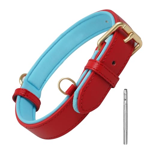 Lmlpt Rotes Leder-Hundehalsband für große, mittelgroße und kleine Hunde, echtes Leder, weich gepolstert, verstellbar, dick, mit robustem D-Ring, L Lmlpt Rotes Leder-Hundehalsband für große, mittelgroße und kleine Hunde, echtes Leder, weich gepolstert, verstellbar, dick, mit robustem D-Ring, L von Lmlpt