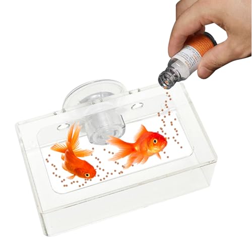 Lnhgh Garnelenfuttergericht, Fischfutterfuttermittel - Quadratische Fischschüsselbecher mit Saugnapfbecher,Wiederverwendbare Aquariumversorgung, rotierende langsame Vorschubplatte für Guppy, Betta Lnhgh Garnelenfuttergericht, Fischfutterfuttermittel - Quadratische Fischschüsselbecher mit Saugnapfbecher,Wiederverwendbare Aquariumversorgung, rotierende langsame Vorschubplatte für Guppy, Betta von Lnhgh